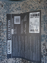 Load image into Gallery viewer, Carmel Indoor/Outdoor Rug or Runner by Art Carpet, Blue (Very Luxurious floor rugs)
