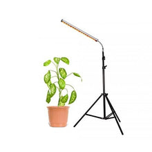 Load image into Gallery viewer, Floor Lamp Grow Light, 28W LED Floor Stand Growing Light with Flexible Gooseneck, White and Red Light Spectrum.