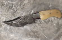 Load image into Gallery viewer, Camel bone Hunting knife DAMASCUS steel KNIFE FULL TANG
