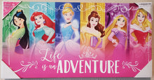 Load image into Gallery viewer, Disney Canvas, Picture, Wall Art - Princess, Painted - 24 x 12 x 1.25
