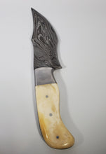 Load image into Gallery viewer, Camel bone Hunting knife DAMASCUS steel KNIFE FULL TANG
