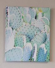 Load image into Gallery viewer, Cactus Wall Décor on Distressed Wood Grain Box Sign  (19"x16"x1")
