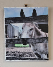 Load image into Gallery viewer, Mule Wall Décor on Distressed Wood Grain Box Sign  (19"x16"x1")
